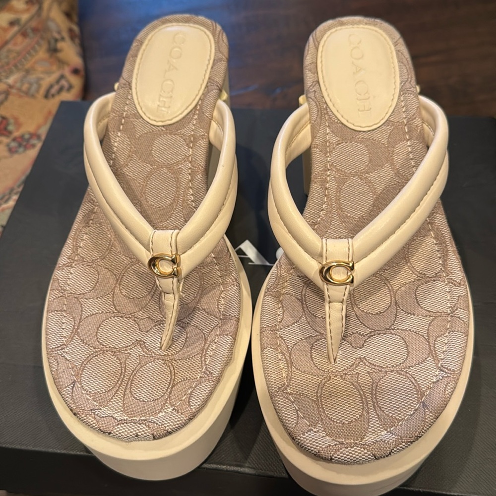 Franki leather coach platform flip flops